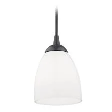 Matte Black Mini Pendant Light