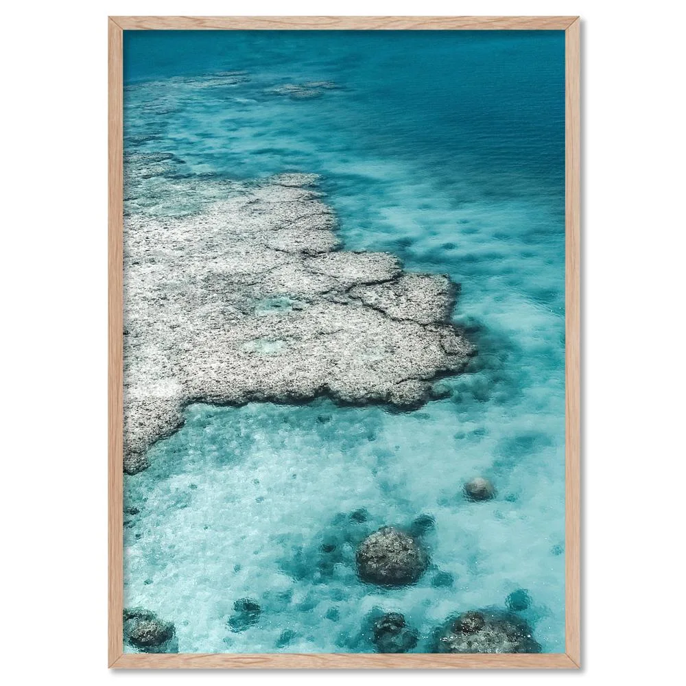 Tropical Reef Framed Wall Art