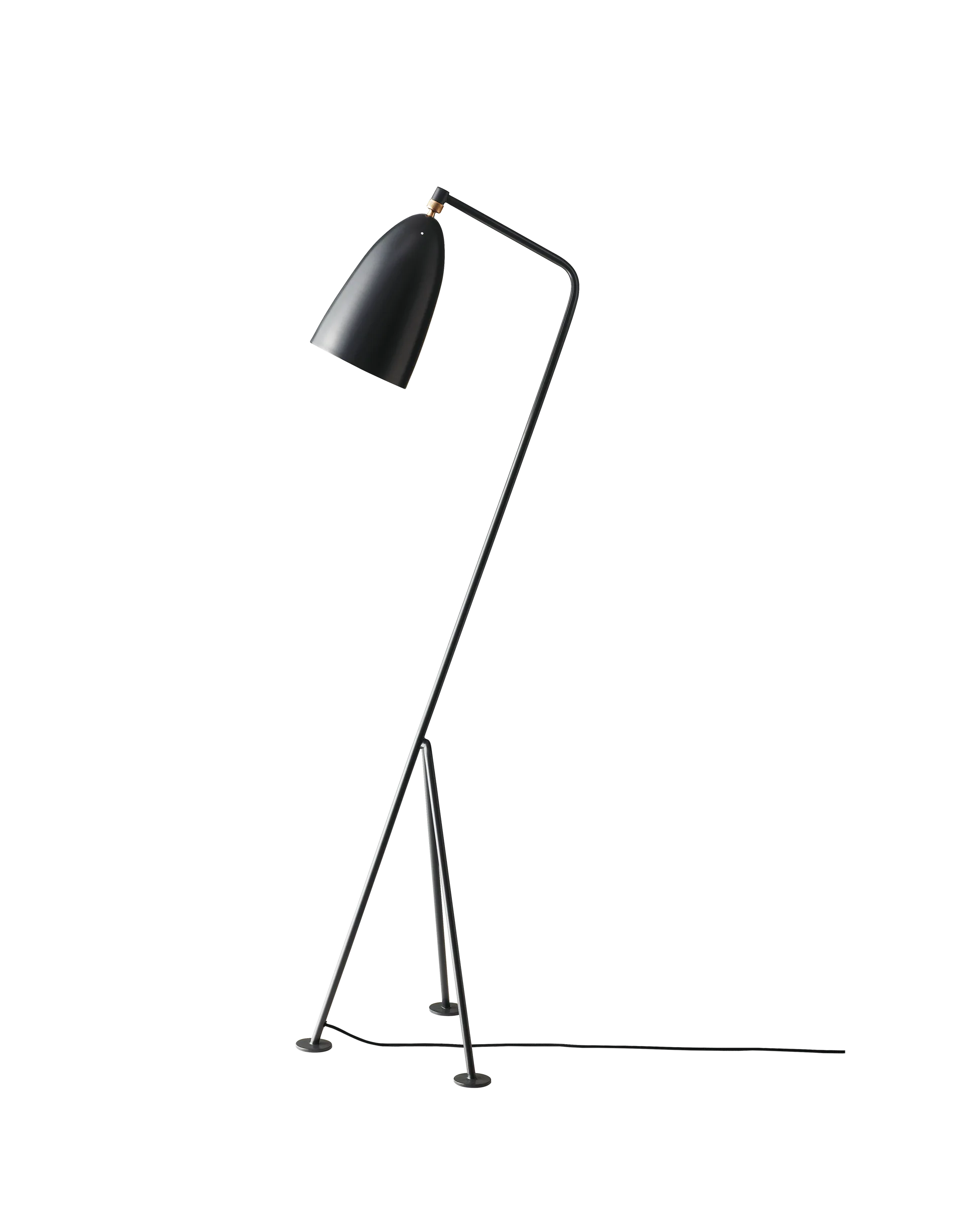 Matte Black Metal Floor Lamp