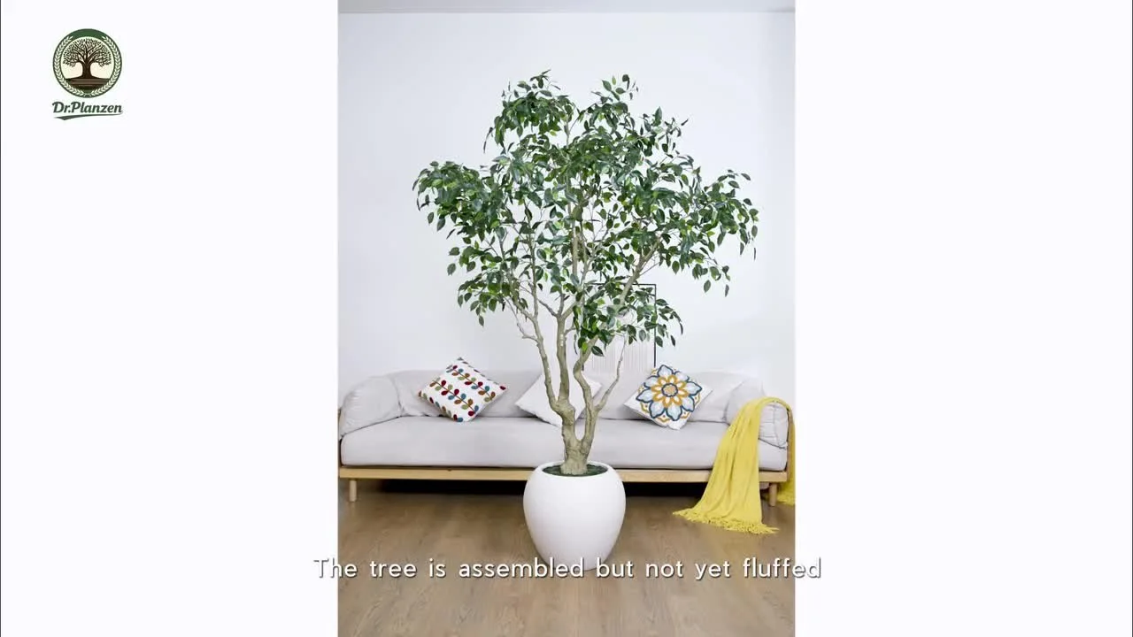 Potted Plant