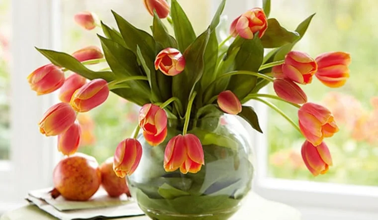Modern Glass Vase