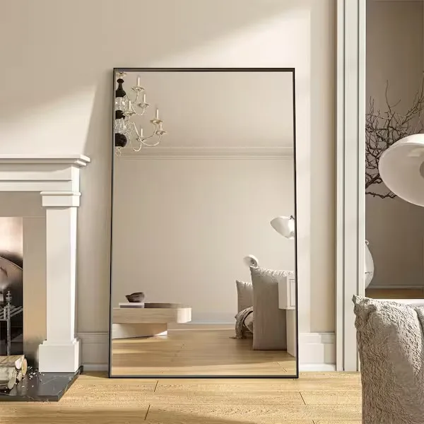 ORGANNICE Rectangular Framed Wall Mirror in Black