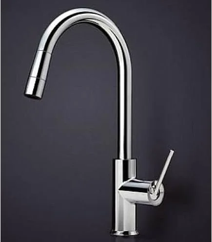 TOTO Contemporary Kitchen Faucet