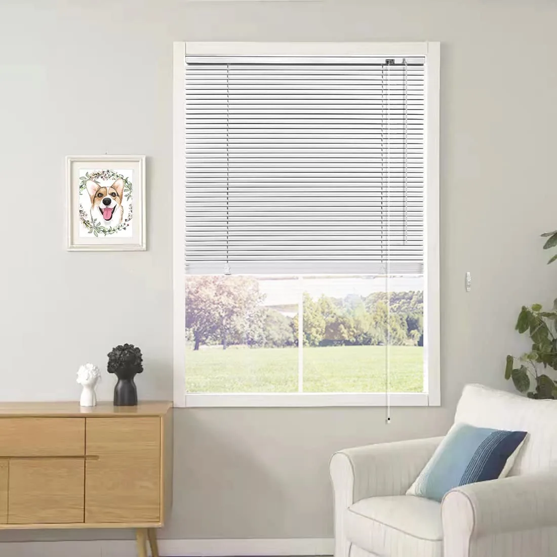 Window Blinds