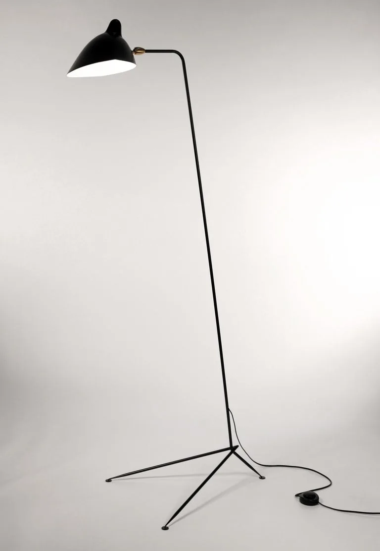 Matte Black Metal Floor Lamp