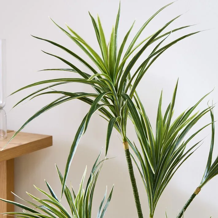 Faux Potted Dracaena Plant Decor