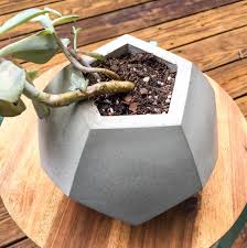 Geometric Concrete Planter
