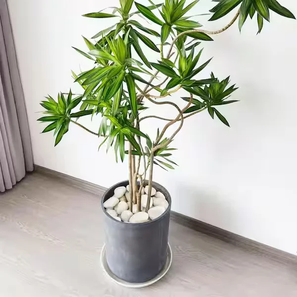 Modern Cylindrical Potted Plant