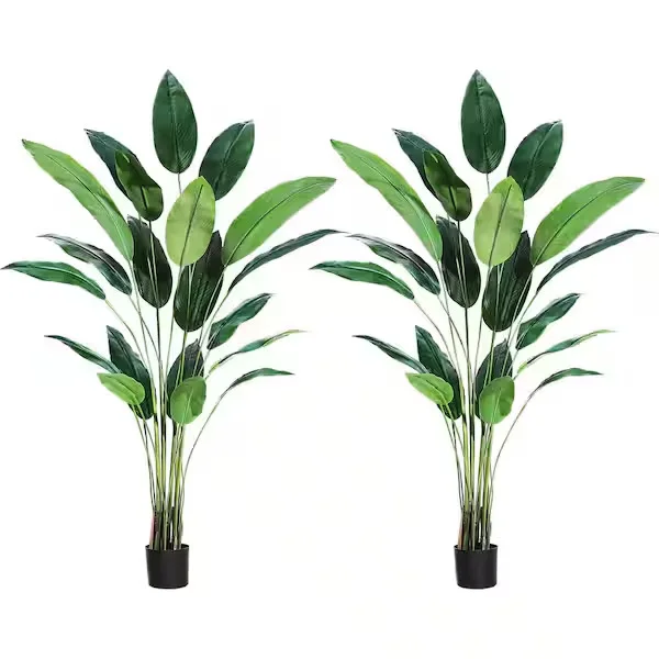 Potted Plant