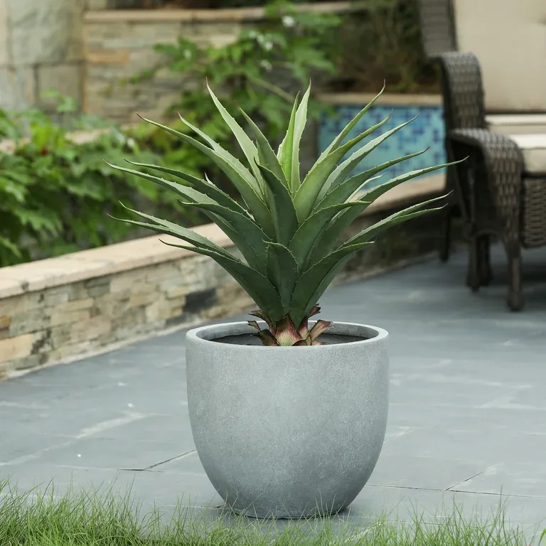 Modern Round Potted Agave Planter
