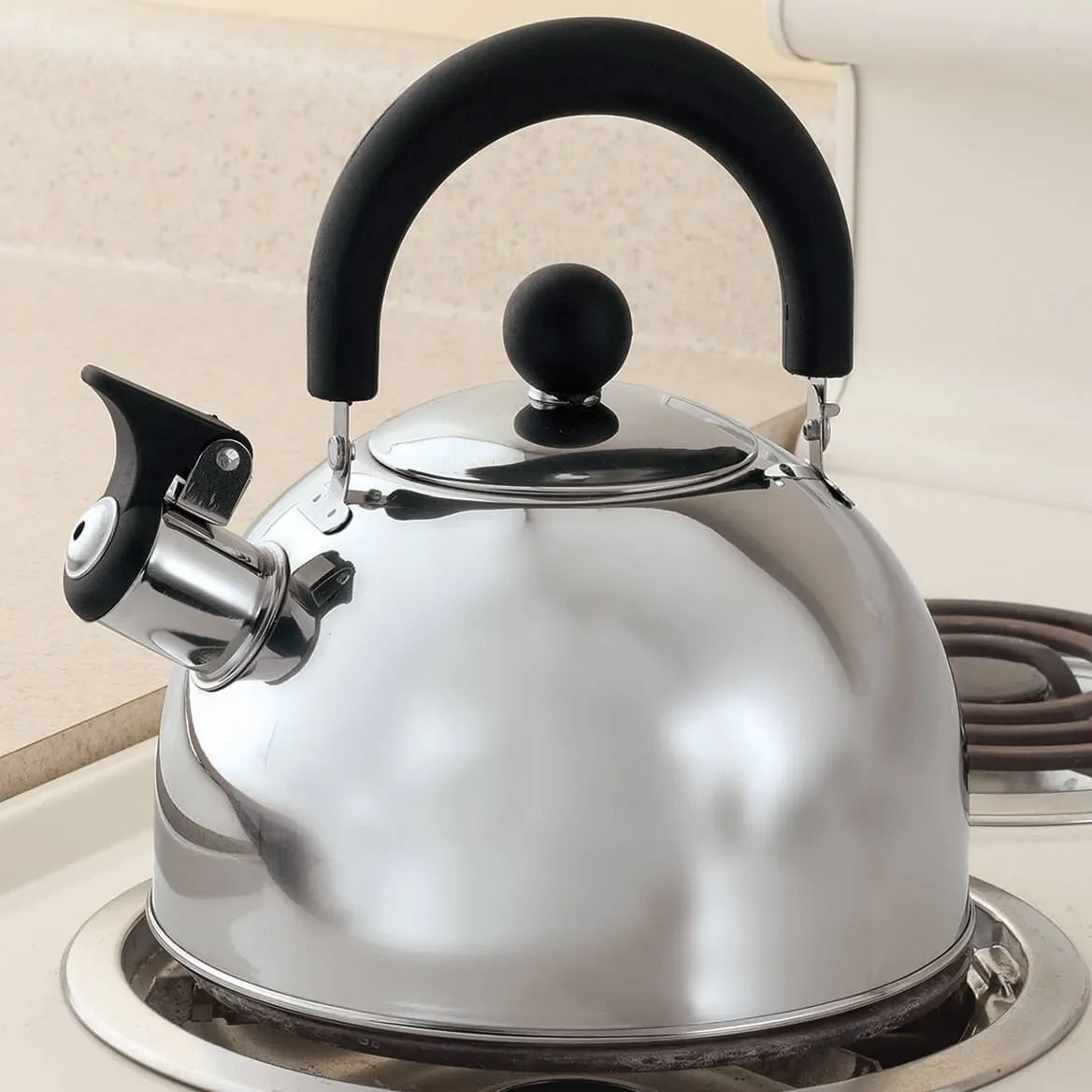 Stainless Steel Whistling Tea Kettle With Flip Spout