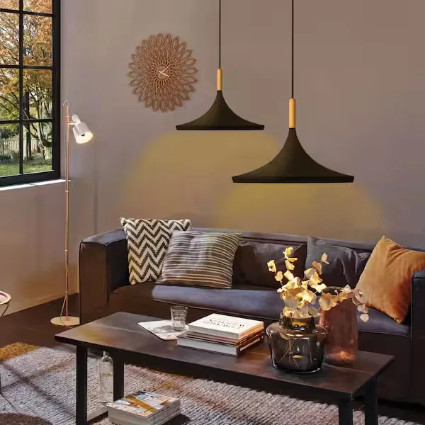 Matte Black Metal Pendant Light
