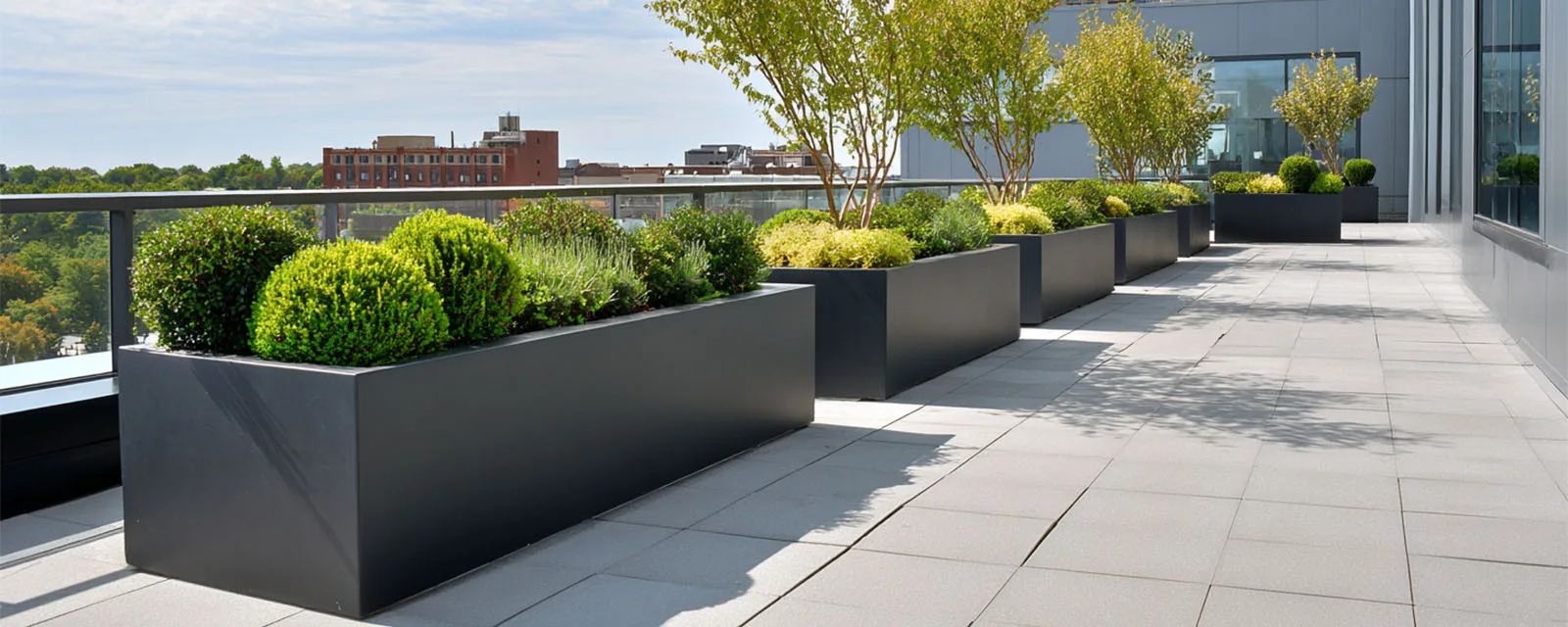 Modern Rectangular Potted Plant