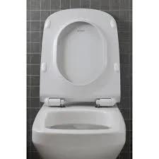 Duravit DuraStyle Modern White Wall Mounted Toilet