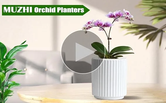 MUZHI White Ceramic Striped Potted Plant