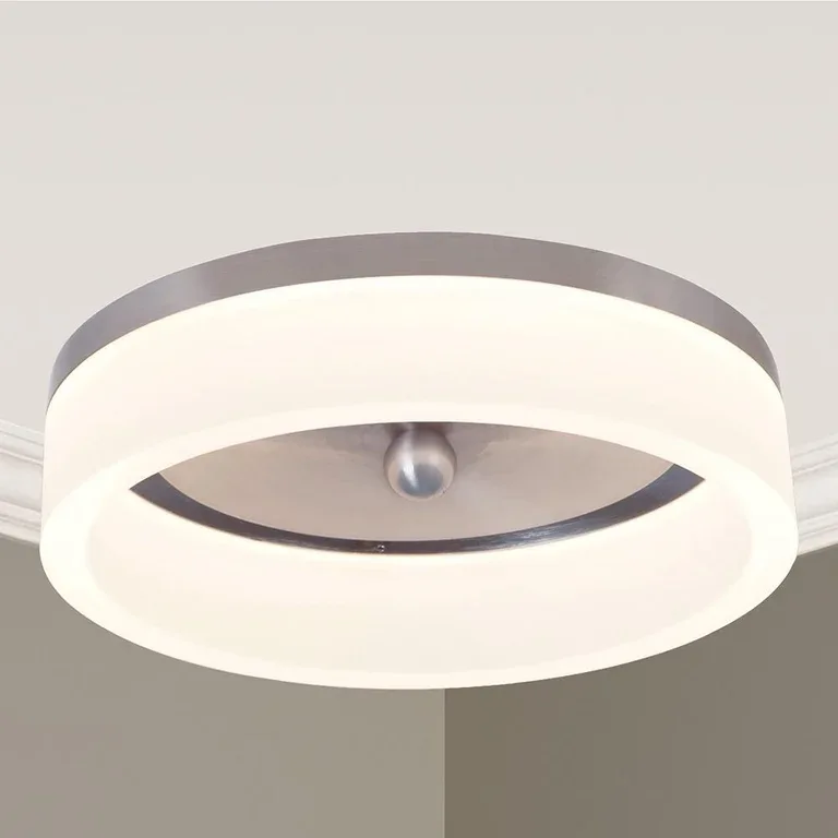 Flush Mount Ceiling Light