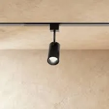 Dawn Matte Black Cylindrical Track Lighting