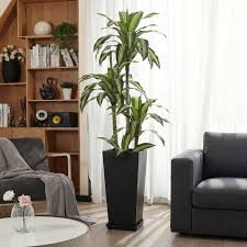 Modern Square Potted Plant