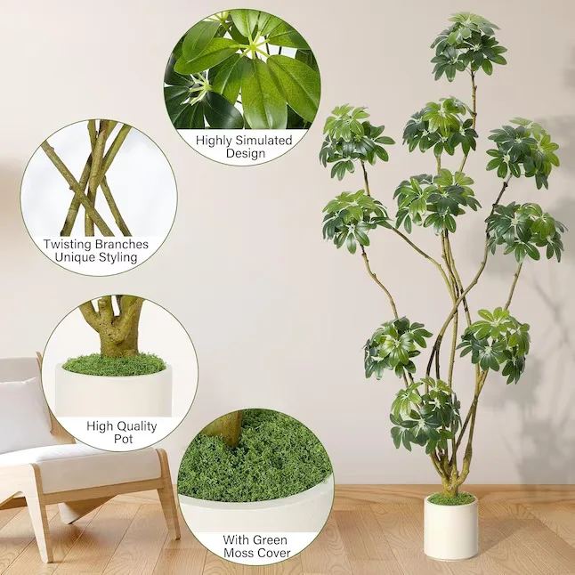 Potted Plant