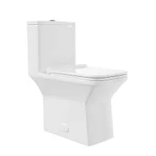 DeerValley Ace White Ceramic Rectangular Toilet