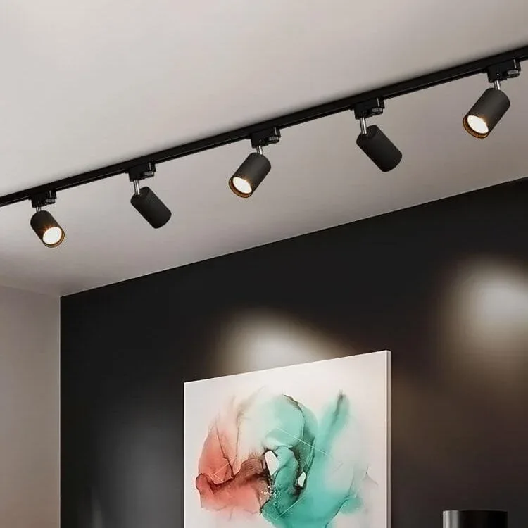 Modern Matte Black Track Lighting