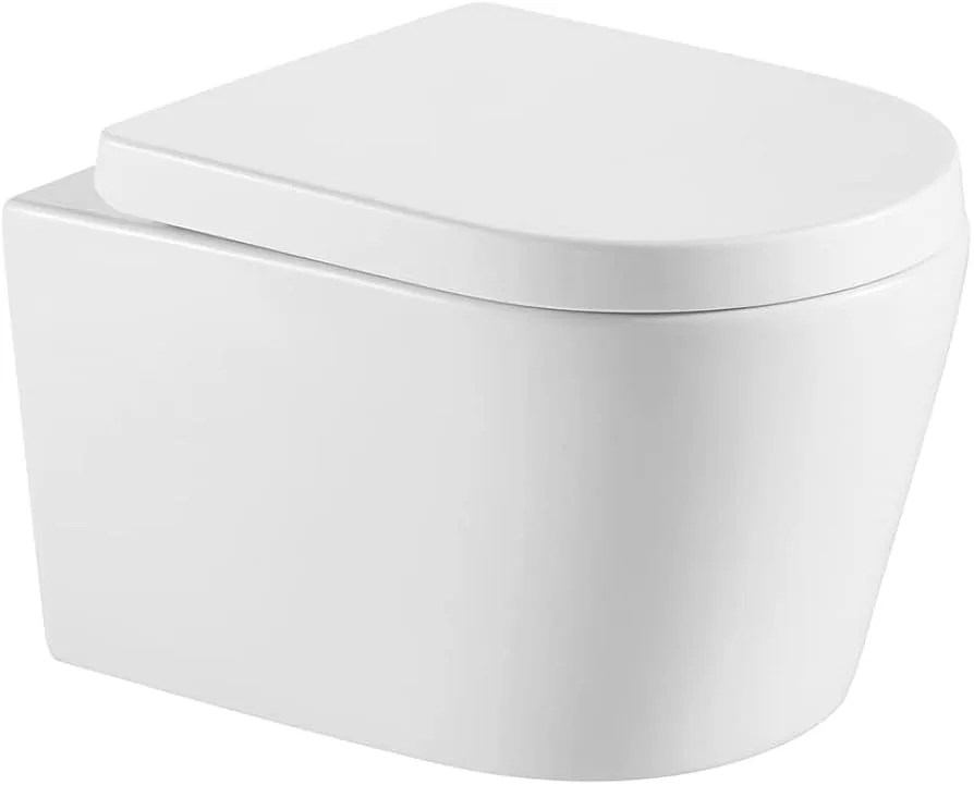 White Ceramic Wall Mounted Toilet