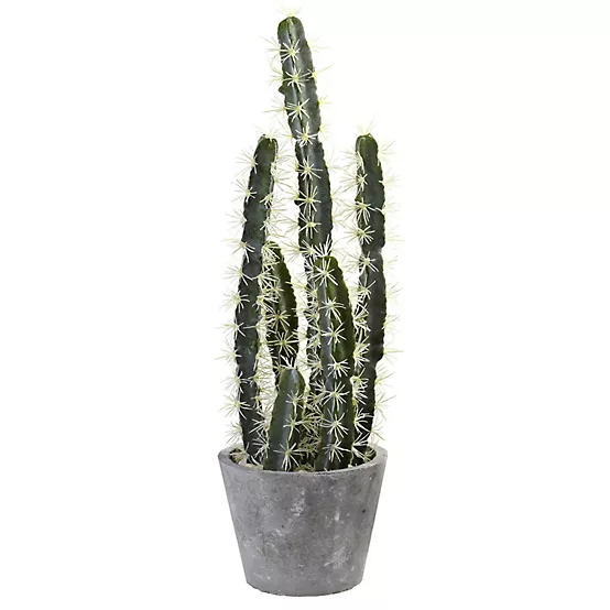 Nearly Natural Potted Cactus