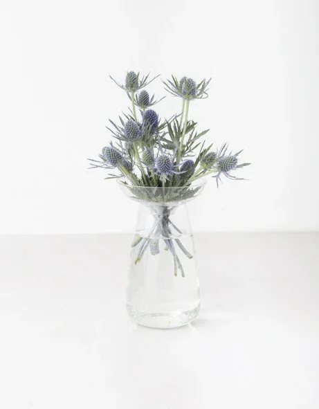 Minimalist Conical Glass Vase