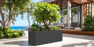 Modern Rectangular Potted Plant