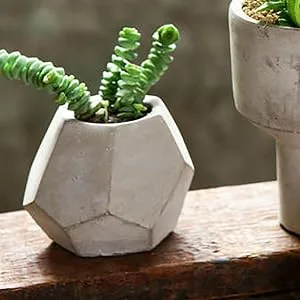 Geometric Concrete Planter
