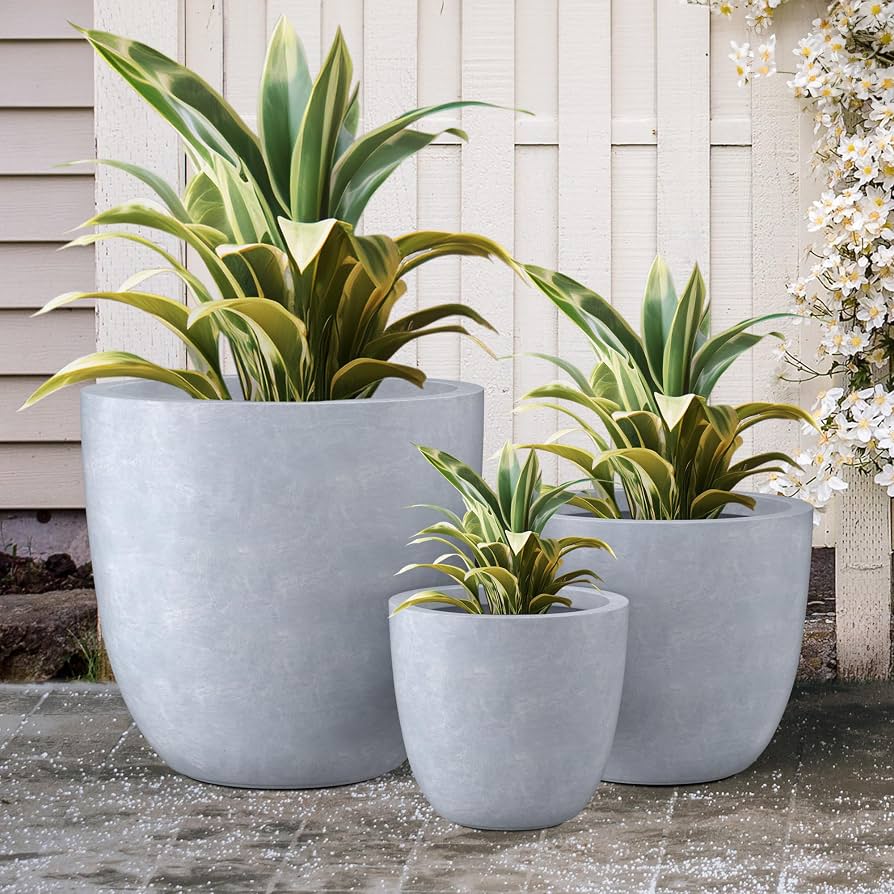 Potted Agave Planter