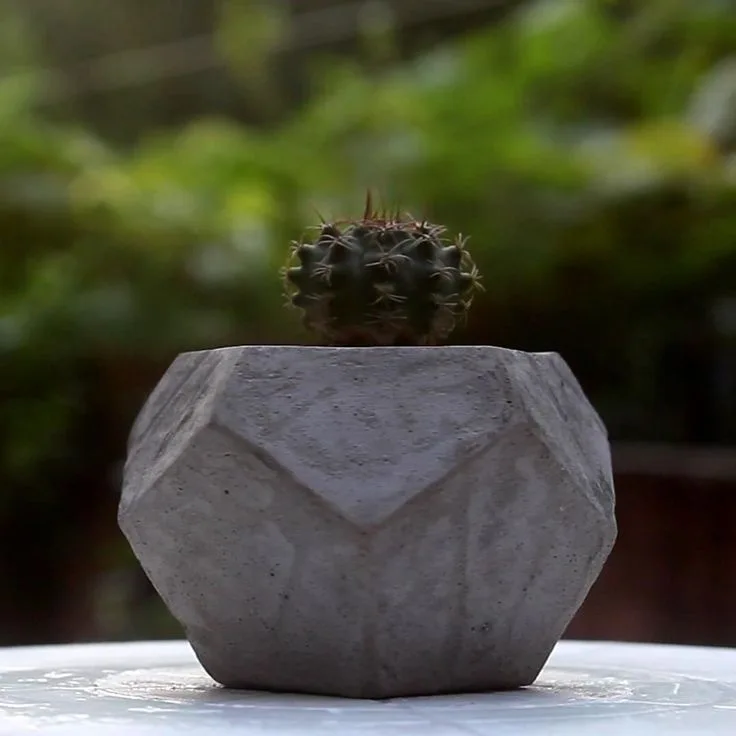 Geometric Concrete Planter