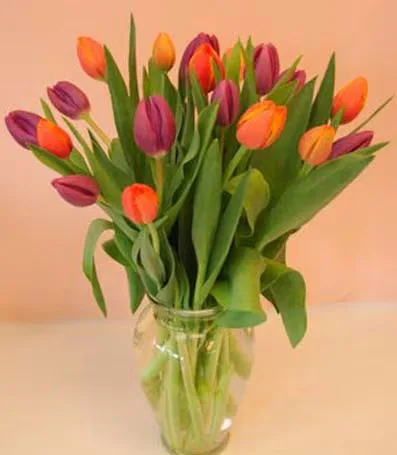 Glass Vase