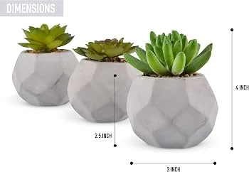 Geometric Concrete Planter