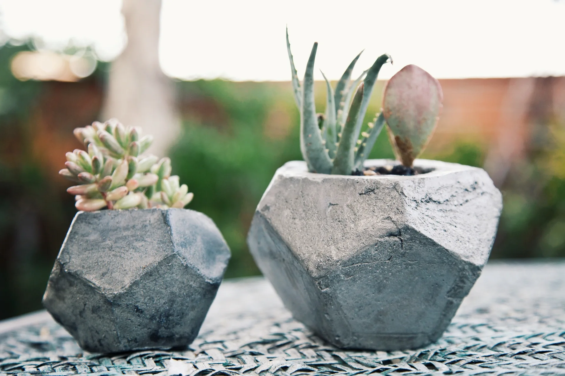 Geometric Concrete Planter