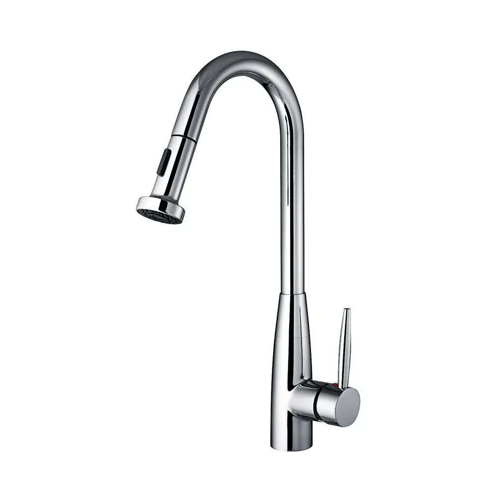 Polished Chrome Kitchen Faucet