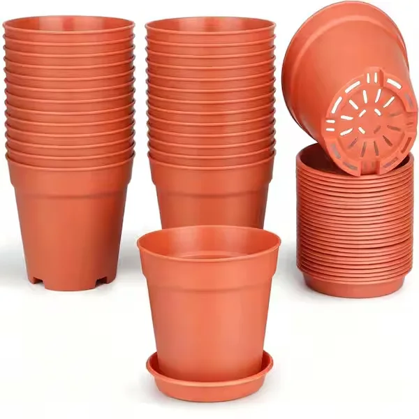 Potted Plant