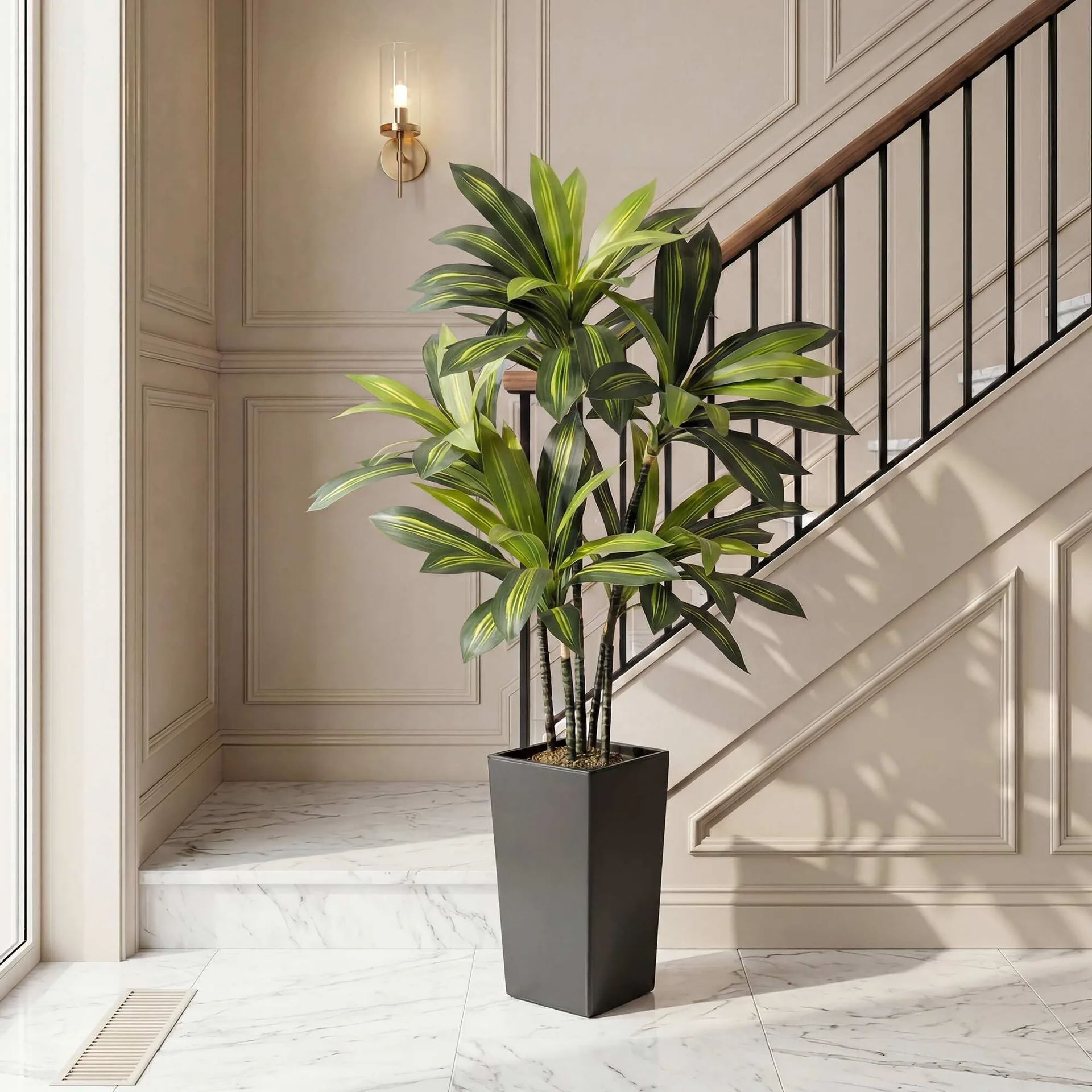 Potted Plant