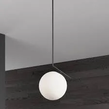 Matte Black Metal Globe Pendant Light