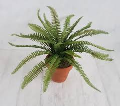 Faux Fern Potted Plant