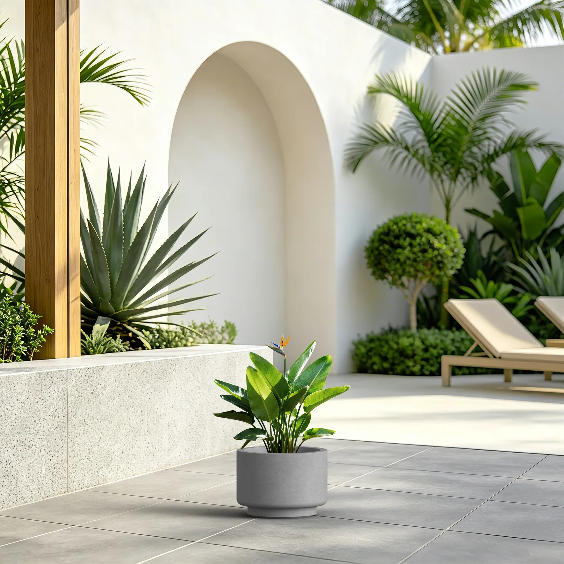 Modern Concrete Potted Plant