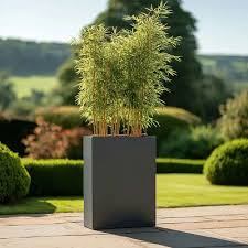 Modern Rectangular Potted Plant