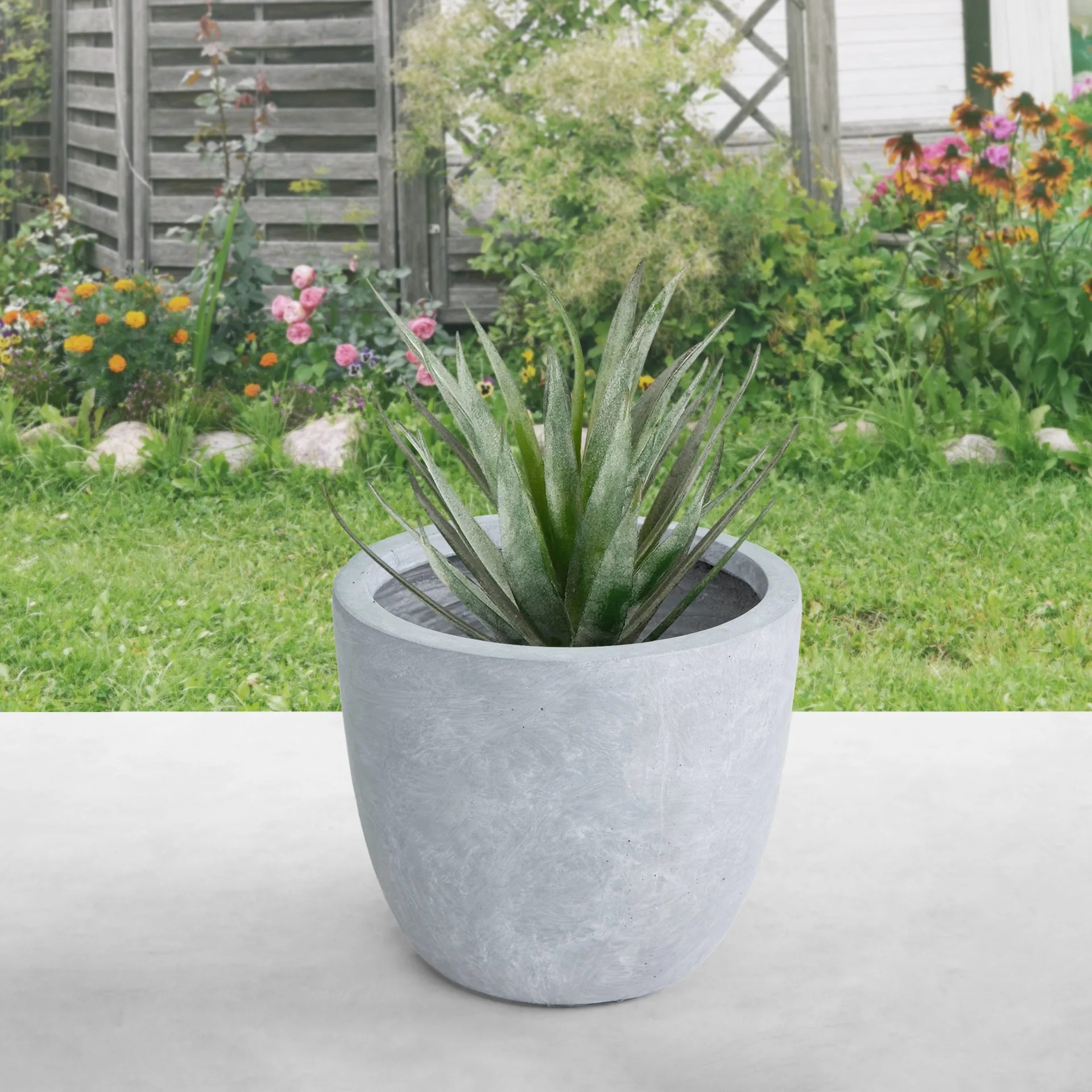 Round Concrete Potted Agave Planter