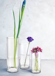 Minimalist Glass Cylinder Vase