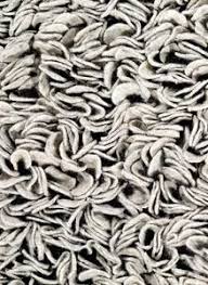 Ligne Pure Influence Gray Wool Shag Area Rug