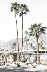 Midcentury Palm Springs Framed Wall Art