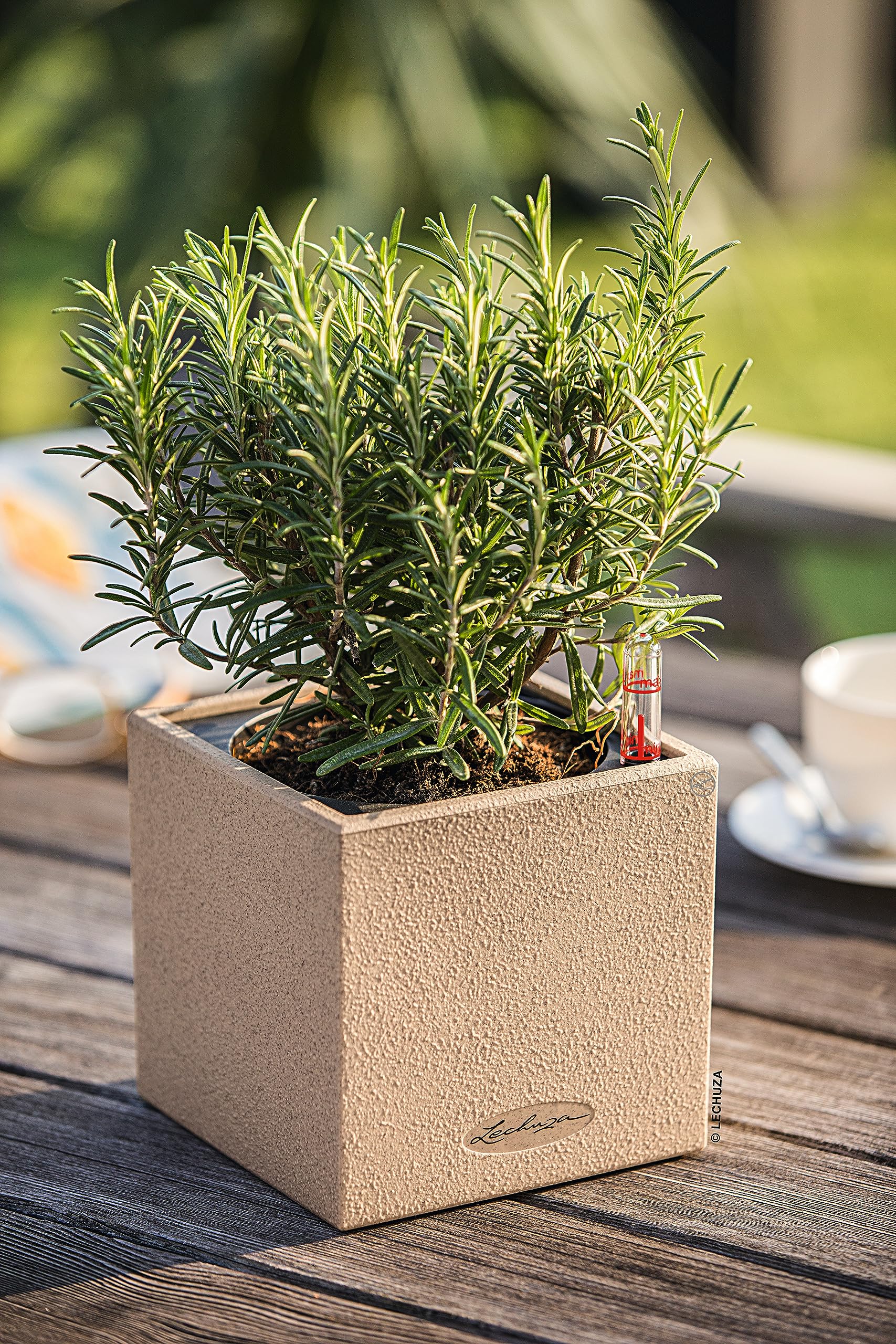 Lechuza Canto Stone Square Stone Potted Plant