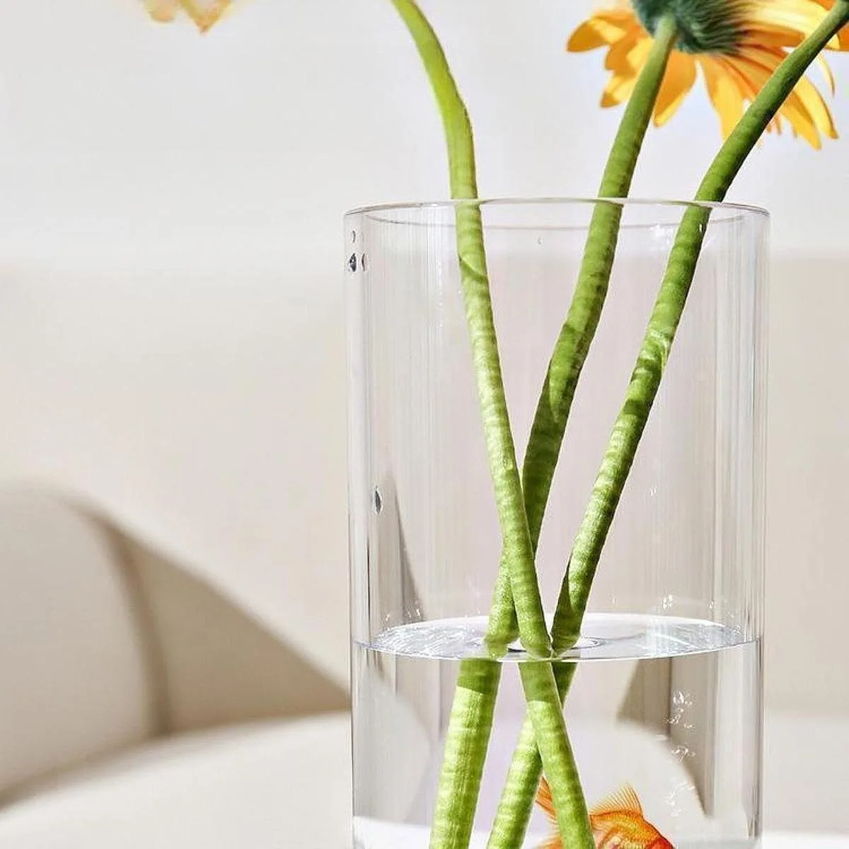 Glass Cylinder Vase
