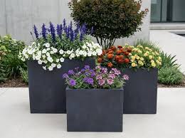 Modern Concrete Rectangular Planter