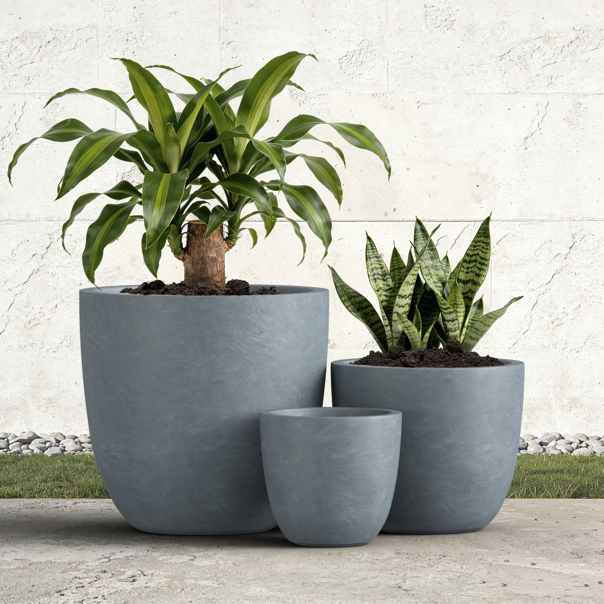Potted Agave Planter